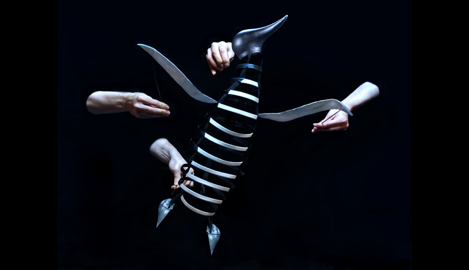 Affiche du spectacle Le complexe du pingouin, saison culturelle SORTIR 2023-2024
